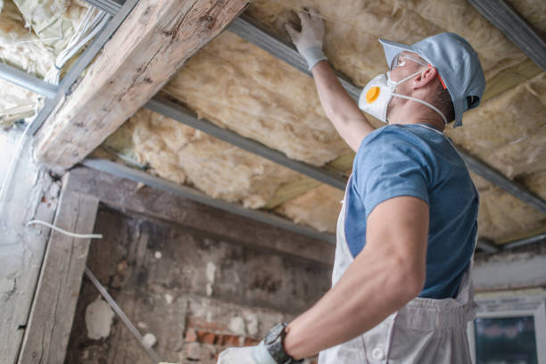 Best Residential Insulation in Seabrook Island, SC
