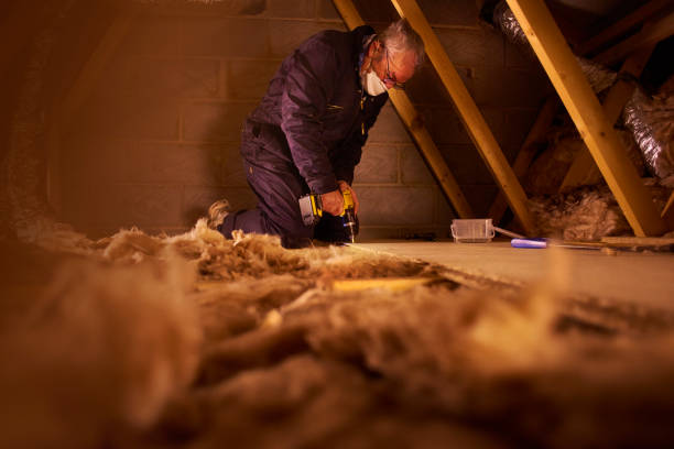 Best Cellulose Insulation in Seabrook Island, SC